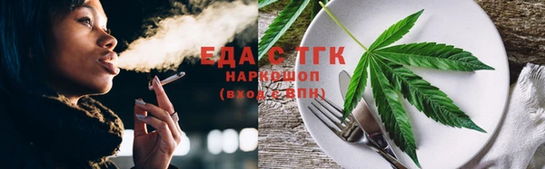 хмурый Пересвет